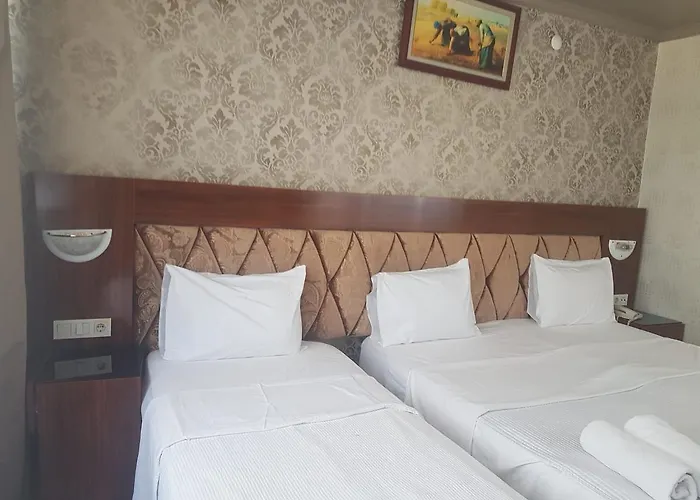 Rouge Noire Hotel 3*